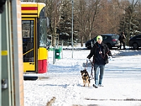 Sobota na Paluchu  Sobotnie przedpołudnie w Schronisku dla Bezdomnych Zwierząt na Paluchu. Warszawa, 17 marca 2018 r. : schronisko na paluchu, bezdomne psy, zima w schronisku