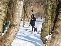Sobota na Paluchu  Sobotnie przedpołudnie w Schronisku dla Bezdomnych Zwierząt na Paluchu. Warszawa, 17 marca 2018 r. : schronisko na paluchu, bezdomne psy, zima w schronisku