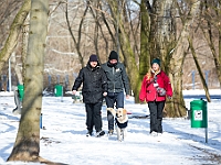 Sobota na Paluchu  Sobotnie przedpołudnie w Schronisku dla Bezdomnych Zwierząt na Paluchu. Warszawa, 17 marca 2018 r. : schronisko na paluchu, bezdomne psy, zima w schronisku