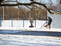 Sobota na Paluchu  Sobotnie przedpołudnie w Schronisku dla Bezdomnych Zwierząt na Paluchu. Warszawa, 17 marca 2018 r. : schronisko na paluchu, bezdomne psy, zima w schronisku