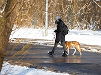 Sobota na Paluchu  Sobotnie przedpołudnie w Schronisku dla Bezdomnych Zwierząt na Paluchu. Warszawa, 17 marca 2018 r. : schronisko na paluchu, bezdomne psy, zima w schronisku