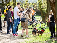 Adoptuj Warszawiaka  14 kwietnia 2018 r. Warszawa, Forty Bema : adoptuj warszawiaka, forty bema, schronisko na paluchu, psy bezdomne, kocuia adopcja, psia adopcja.