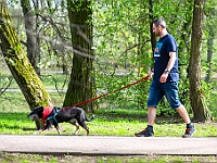 Adoptuj Warszawiaka  14 kwietnia 2018 r. Warszawa, Forty Bema : adoptuj warszawiaka, forty bema, schronisko na paluchu, psy bezdomne, kocuia adopcja, psia adopcja.