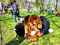 Adoptuj Warszawiaka  14 kwietnia 2018 r. Warszawa, Forty Bema : adoptuj warszawiaka, forty bema, schronisko na paluchu, psy bezdomne, kocuia adopcja, psia adopcja.