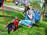 Adoptuj Warszawiaka  14 kwietnia 2018 r. Warszawa, Forty Bema : adoptuj warszawiaka, forty bema, schronisko na paluchu, psy bezdomne, kocuia adopcja, psia adopcja.