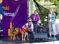 Warszawski Dzień Zwierząt 2018  19 maja 2018 r. Park AGRYKOLA. Organizator - Schronisko dla Bezdomnych Zwierząt "Na Paluchu". : warszawski dzień zwierząt, park agrykola, schronisko na paluchu, dolina noteci, bezdomne psy, bezdomne koty