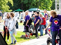 Warszawski Dzień Zwierząt 2018  19 maja 2018 r. Park AGRYKOLA. Organizator - Schronisko dla Bezdomnych Zwierząt "Na Paluchu". : warszawski dzień zwierząt, park agrykola, schronisko na paluchu, dolina noteci, bezdomne psy, bezdomne koty
