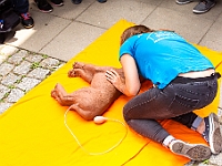 Warszawski Dzień Zwierząt 2018  19 maja 2018 r. Park AGRYKOLA. Organizator - Schronisko dla Bezdomnych Zwierząt "Na Paluchu". : warszawski dzień zwierząt, park agrykola, schronisko na paluchu, dolina noteci, bezdomne psy, bezdomne koty