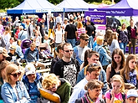 Warszawski Dzień Zwierząt 2018  19 maja 2018 r. Park AGRYKOLA. Organizator - Schronisko dla Bezdomnych Zwierząt "Na Paluchu". : warszawski dzień zwierząt, park agrykola, schronisko na paluchu, dolina noteci, bezdomne psy, bezdomne koty