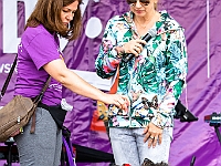 Warszawski Dzień Zwierząt 2018  19 maja 2018 r. Park AGRYKOLA. Organizator - Schronisko dla Bezdomnych Zwierząt "Na Paluchu". : warszawski dzień zwierząt, park agrykola, schronisko na paluchu, dolina noteci, bezdomne psy, bezdomne koty