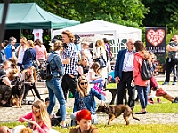 Warszawski Dzień Zwierząt 2018  19 maja 2018 r. Park AGRYKOLA. Organizator - Schronisko dla Bezdomnych Zwierząt "Na Paluchu". : warszawski dzień zwierząt, park agrykola, schronisko na paluchu, dolina noteci, bezdomne psy, bezdomne koty