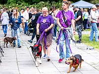 Warszawski Dzień Zwierząt 2018  19 maja 2018 r. Park AGRYKOLA. Organizator - Schronisko dla Bezdomnych Zwierząt "Na Paluchu". : warszawski dzień zwierząt, park agrykola, schronisko na paluchu, dolina noteci, bezdomne psy, bezdomne koty