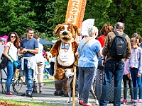 Warszawski Dzień Zwierząt 2018  19 maja 2018 r. Park AGRYKOLA. Organizator - Schronisko dla Bezdomnych Zwierząt "Na Paluchu". : warszawski dzień zwierząt, park agrykola, schronisko na paluchu, dolina noteci, bezdomne psy, bezdomne koty