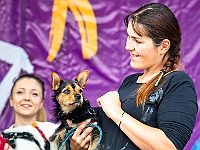Warszawski Dzień Zwierząt 2018  19 maja 2018 r. Park AGRYKOLA. Organizator - Schronisko dla Bezdomnych Zwierząt "Na Paluchu". : warszawski dzień zwierząt, park agrykola, schronisko na paluchu, dolina noteci, bezdomne psy, bezdomne koty
