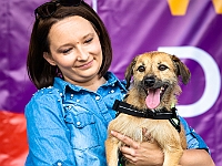 Warszawski Dzień Zwierząt 2018  19 maja 2018 r. Park AGRYKOLA. Organizator - Schronisko dla Bezdomnych Zwierząt "Na Paluchu". : warszawski dzień zwierząt, park agrykola, schronisko na paluchu, dolina noteci, bezdomne psy, bezdomne koty
