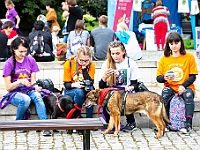 Warszawski Dzień Zwierząt 2018  19 maja 2018 r. Park AGRYKOLA. Organizator - Schronisko dla Bezdomnych Zwierząt "Na Paluchu". : warszawski dzień zwierząt, park agrykola, schronisko na paluchu, dolina noteci, bezdomne psy, bezdomne koty