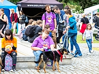 Warszawski Dzień Zwierząt 2018  19 maja 2018 r. Park AGRYKOLA. Organizator - Schronisko dla Bezdomnych Zwierząt "Na Paluchu". : warszawski dzień zwierząt, park agrykola, schronisko na paluchu, dolina noteci, bezdomne psy, bezdomne koty