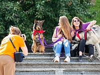 Warszawski Dzień Zwierząt 2018  19 maja 2018 r. Park AGRYKOLA. Organizator - Schronisko dla Bezdomnych Zwierząt "Na Paluchu". : warszawski dzień zwierząt, park agrykola, schronisko na paluchu, dolina noteci, bezdomne psy, bezdomne koty