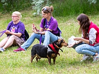 Warszawski Dzień Zwierząt 2018  19 maja 2018 r. Park AGRYKOLA. Organizator - Schronisko dla Bezdomnych Zwierząt "Na Paluchu". : warszawski dzień zwierząt, park agrykola, schronisko na paluchu, dolina noteci, bezdomne psy, bezdomne koty