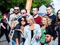 Warszawski Dzień Zwierząt 2018  19 maja 2018 r. Park AGRYKOLA. Organizator - Schronisko dla Bezdomnych Zwierząt "Na Paluchu". : warszawski dzień zwierząt, park agrykola, schronisko na paluchu, dolina noteci, bezdomne psy, bezdomne koty