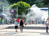 Warszawski Dzień Zwierząt 2018  19 maja 2018 r. Park AGRYKOLA. Organizator - Schronisko dla Bezdomnych Zwierząt "Na Paluchu". : warszawski dzień zwierząt, park agrykola, schronisko na paluchu, dolina noteci, bezdomne psy, bezdomne koty
