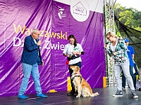 Warszawski Dzień Zwierząt 2018  19 maja 2018 r. Park AGRYKOLA. Organizator - Schronisko dla Bezdomnych Zwierząt "Na Paluchu". : warszawski dzień zwierząt, park agrykola, schronisko na paluchu, dolina noteci, bezdomne psy, bezdomne koty