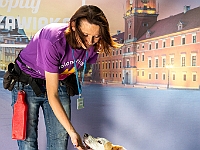 Warszawski Dzień Zwierząt 2018  19 maja 2018 r. Park AGRYKOLA. Organizator - Schronisko dla Bezdomnych Zwierząt "Na Paluchu". : warszawski dzień zwierząt, park agrykola, schronisko na paluchu, dolina noteci, bezdomne psy, bezdomne koty