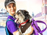 Warszawski Dzień Zwierząt 2018  19 maja 2018 r. Park AGRYKOLA. Organizator - Schronisko dla Bezdomnych Zwierząt "Na Paluchu". : warszawski dzień zwierząt, park agrykola, schronisko na paluchu, dolina noteci, bezdomne psy, bezdomne koty