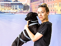 Warszawski Dzień Zwierząt 2018  19 maja 2018 r. Park AGRYKOLA. Organizator - Schronisko dla Bezdomnych Zwierząt "Na Paluchu". : warszawski dzień zwierząt, park agrykola, schronisko na paluchu, dolina noteci, bezdomne psy, bezdomne koty