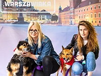 Warszawski Dzień Zwierząt 2018  19 maja 2018 r. Park AGRYKOLA. Organizator - Schronisko dla Bezdomnych Zwierząt "Na Paluchu". : warszawski dzień zwierząt, park agrykola, schronisko na paluchu, dolina noteci, bezdomne psy, bezdomne koty