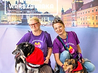 Warszawski Dzień Zwierząt 2018  19 maja 2018 r. Park AGRYKOLA. Organizator - Schronisko dla Bezdomnych Zwierząt "Na Paluchu". : warszawski dzień zwierząt, park agrykola, schronisko na paluchu, dolina noteci, bezdomne psy, bezdomne koty