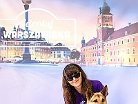 Warszawski Dzień Zwierząt 2018  19 maja 2018 r. Park AGRYKOLA. Organizator - Schronisko dla Bezdomnych Zwierząt "Na Paluchu". : warszawski dzień zwierząt, park agrykola, schronisko na paluchu, dolina noteci, bezdomne psy, bezdomne koty