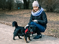 Adoptuj Warszawiaka  Warszawa, Park Skaryszewski, 24 lutego 2019 r. Wydarzenie promujące wśród mieszkańców Warszawy adopcję bezdomnych zwierząt. : na paluchu, adoptuj warszawiaka, bezdomne zwierzęta, park skaryszewski, schonisko dla zwierząt.