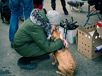 Adoptuj Warszawiaka  Warszawa, Park Skaryszewski, 24 lutego 2019 r. Wydarzenie promujące wśród mieszkańców Warszawy adopcję bezdomnych zwierząt. : na paluchu, adoptuj warszawiaka, bezdomne zwierzęta, park skaryszewski, schonisko dla zwierząt.