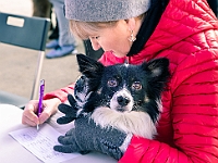 Adoptuj Warszawiaka  Warszawa, Park Skaryszewski, 24 lutego 2019 r. Wydarzenie promujące wśród mieszkańców Warszawy adopcję bezdomnych zwierząt. : na paluchu, adoptuj warszawiaka, bezdomne zwierzęta, park skaryszewski, schonisko dla zwierząt.
