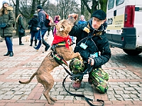 Adoptuj Warszawiaka  Warszawa, Park Skaryszewski, 24 lutego 2019 r. Wydarzenie promujące wśród mieszkańców Warszawy adopcję bezdomnych zwierząt. : na paluchu, adoptuj warszawiaka, bezdomne zwierzęta, park skaryszewski, schonisko dla zwierząt.