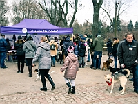 Adoptuj Warszawiaka  Warszawa, Park Skaryszewski, 24 lutego 2019 r. Wydarzenie promujące wśród mieszkańców Warszawy adopcję bezdomnych zwierząt. : na paluchu, adoptuj warszawiaka, bezdomne zwierzęta, park skaryszewski, schonisko dla zwierząt.