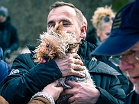 Adoptuj Warszawiaka  Warszawa, Park Skaryszewski, 24 lutego 2019 r. Wydarzenie promujące wśród mieszkańców Warszawy adopcję bezdomnych zwierząt. : na paluchu, adoptuj warszawiaka, bezdomne zwierzęta, park skaryszewski, schonisko dla zwierząt.