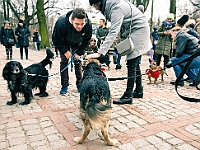 Adoptuj Warszawiaka  Warszawa, Park Skaryszewski, 24 lutego 2019 r. Wydarzenie promujące wśród mieszkańców Warszawy adopcję bezdomnych zwierząt. : na paluchu, adoptuj warszawiaka, bezdomne zwierzęta, park skaryszewski, schonisko dla zwierząt.