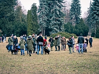 Adoptuj Warszawiaka  Warszawa, Park Skaryszewski, 24 lutego 2019 r. Wydarzenie promujące wśród mieszkańców Warszawy adopcję bezdomnych zwierząt. : na paluchu, adoptuj warszawiaka, bezdomne zwierzęta, park skaryszewski, schonisko dla zwierząt.