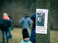 Adoptuj Warszawiaka  Warszawa, Park Skaryszewski, 24 lutego 2019 r. Wydarzenie promujące wśród mieszkańców Warszawy adopcję bezdomnych zwierząt. : na paluchu, adoptuj warszawiaka, bezdomne zwierzęta, park skaryszewski, schonisko dla zwierząt.