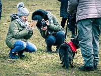 Adoptuj Warszawiaka  Warszawa, Park Skaryszewski, 24 lutego 2019 r. Wydarzenie promujące wśród mieszkańców Warszawy adopcję bezdomnych zwierząt. : na paluchu, adoptuj warszawiaka, bezdomne zwierzęta, park skaryszewski, schonisko dla zwierząt.