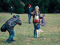Adoptuj Warszawiaka  Warszawa, Park Skaryszewski, 24 lutego 2019 r. Wydarzenie promujące wśród mieszkańców Warszawy adopcję bezdomnych zwierząt. : na paluchu, adoptuj warszawiaka, bezdomne zwierzęta, park skaryszewski, schonisko dla zwierząt.