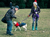 Adoptuj Warszawiaka  Warszawa, Park Skaryszewski, 24 lutego 2019 r. Wydarzenie promujące wśród mieszkańców Warszawy adopcję bezdomnych zwierząt. : na paluchu, adoptuj warszawiaka, bezdomne zwierzęta, park skaryszewski, schonisko dla zwierząt.