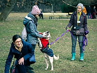Adoptuj Warszawiaka  Warszawa, Park Skaryszewski, 24 lutego 2019 r. Wydarzenie promujące wśród mieszkańców Warszawy adopcję bezdomnych zwierząt. : na paluchu, adoptuj warszawiaka, bezdomne zwierzęta, park skaryszewski, schonisko dla zwierząt.