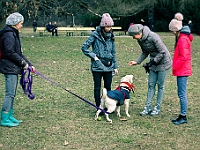 Adoptuj Warszawiaka  Warszawa, Park Skaryszewski, 24 lutego 2019 r. Wydarzenie promujące wśród mieszkańców Warszawy adopcję bezdomnych zwierząt. : na paluchu, adoptuj warszawiaka, bezdomne zwierzęta, park skaryszewski, schonisko dla zwierząt.