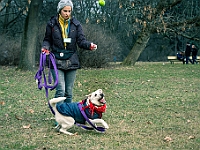 Adoptuj Warszawiaka  Warszawa, Park Skaryszewski, 24 lutego 2019 r. Wydarzenie promujące wśród mieszkańców Warszawy adopcję bezdomnych zwierząt. : na paluchu, adoptuj warszawiaka, bezdomne zwierzęta, park skaryszewski, schonisko dla zwierząt.