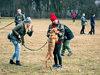 Adoptuj Warszawiaka  Warszawa, Park Skaryszewski, 24 lutego 2019 r. Wydarzenie promujące wśród mieszkańców Warszawy adopcję bezdomnych zwierząt. : na paluchu, adoptuj warszawiaka, bezdomne zwierzęta, park skaryszewski, schonisko dla zwierząt.