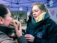 Adoptuj Warszawiaka  Warszawa, Park Skaryszewski, 24 lutego 2019 r. Wydarzenie promujące wśród mieszkańców Warszawy adopcję bezdomnych zwierząt. : na paluchu, adoptuj warszawiaka, bezdomne zwierzęta, park skaryszewski, schonisko dla zwierząt.