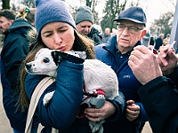 Adoptuj Warszawiaka  Warszawa, Park Skaryszewski, 24 lutego 2019 r. Wydarzenie promujące wśród mieszkańców Warszawy adopcję bezdomnych zwierząt. : na paluchu, adoptuj warszawiaka, bezdomne zwierzęta, park skaryszewski, schonisko dla zwierząt.